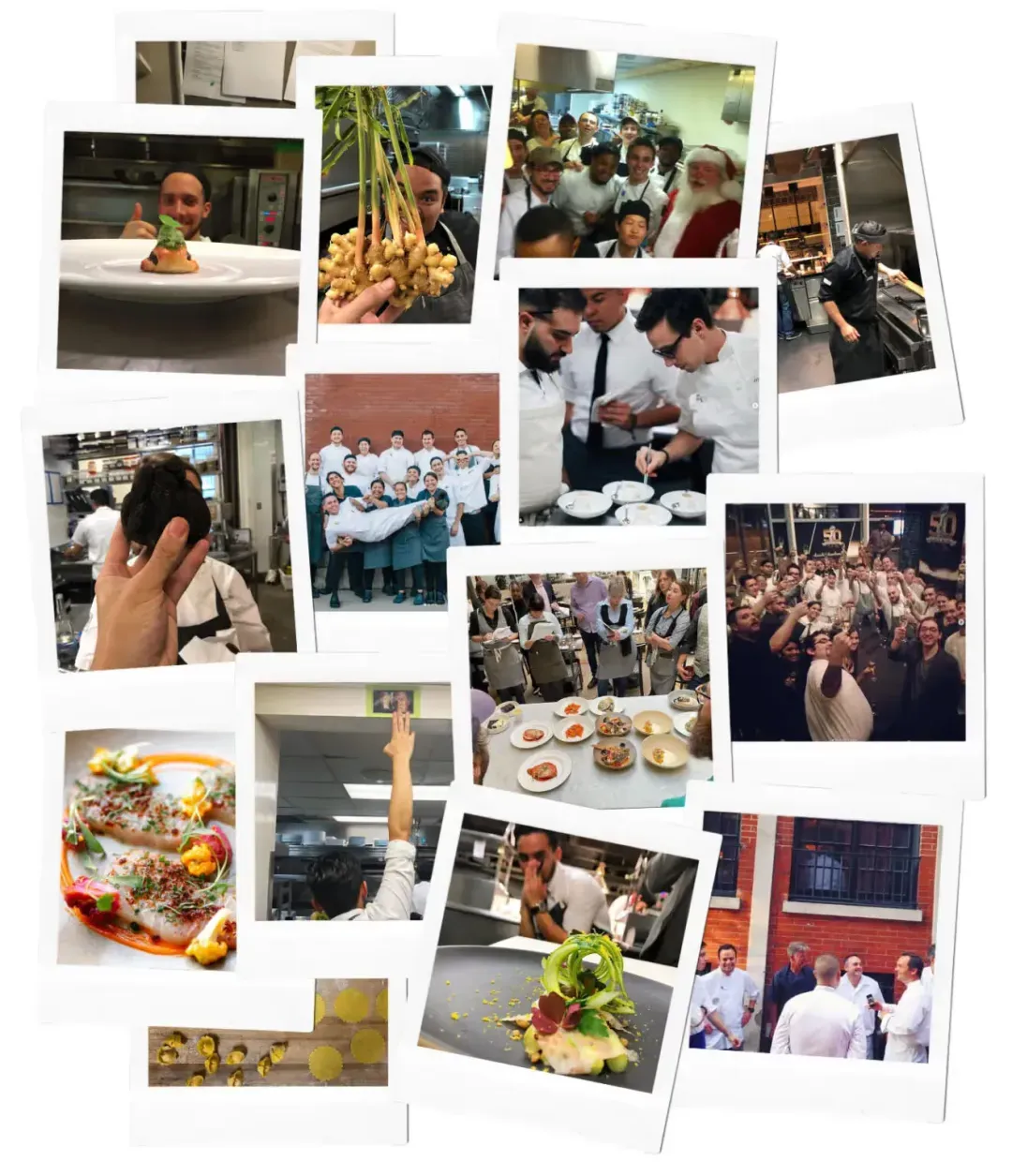 A collage of James Passafaro’s kitchen teams, dishes, and moments from service